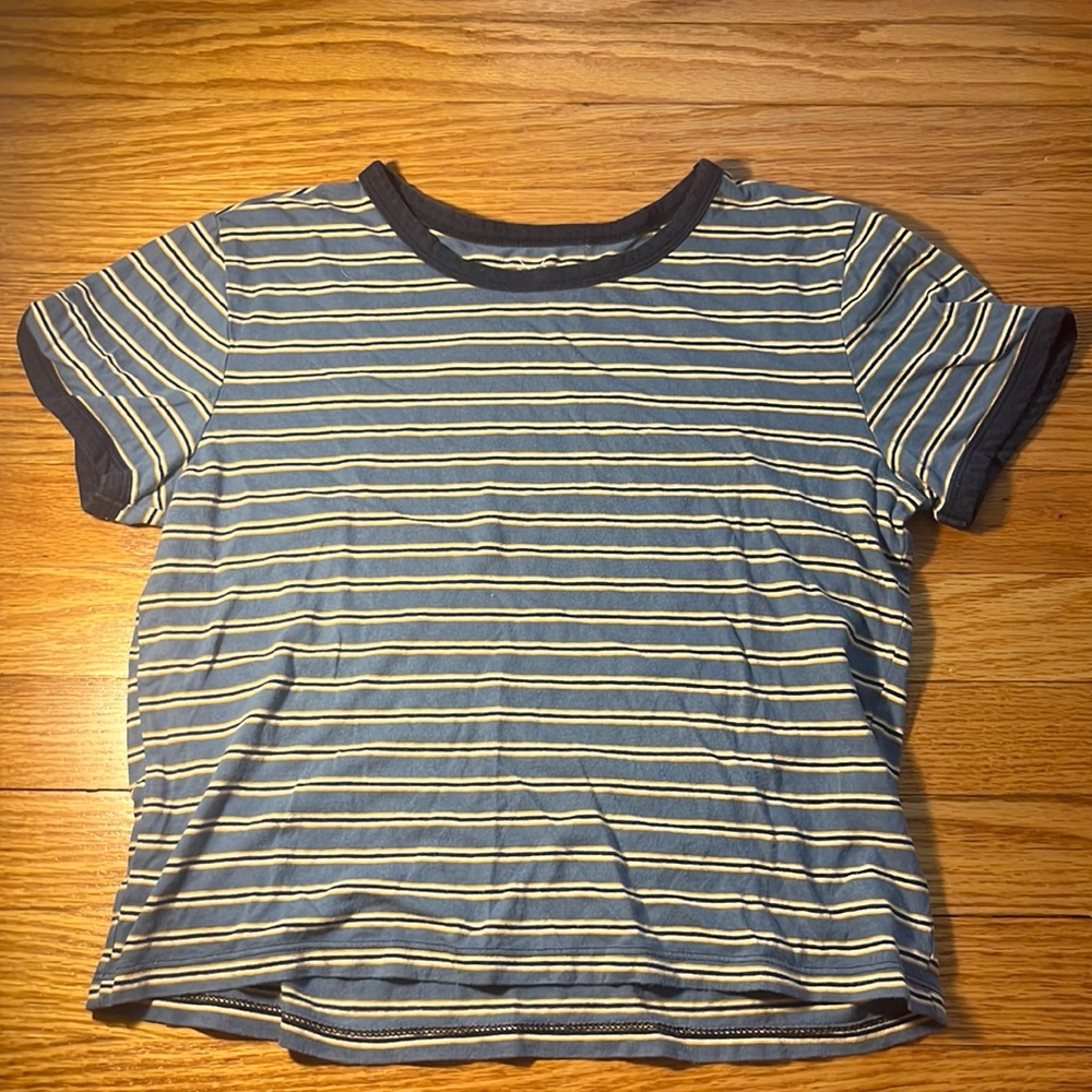 Pacsun blue striped crop top